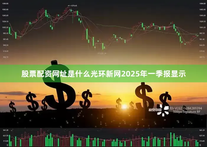 股票配资网址是什么光环新网2025年一季报显示